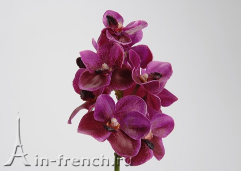 Цветы ручной работы Орхидея Agathe в стиле Прованс за 1 150 руб.