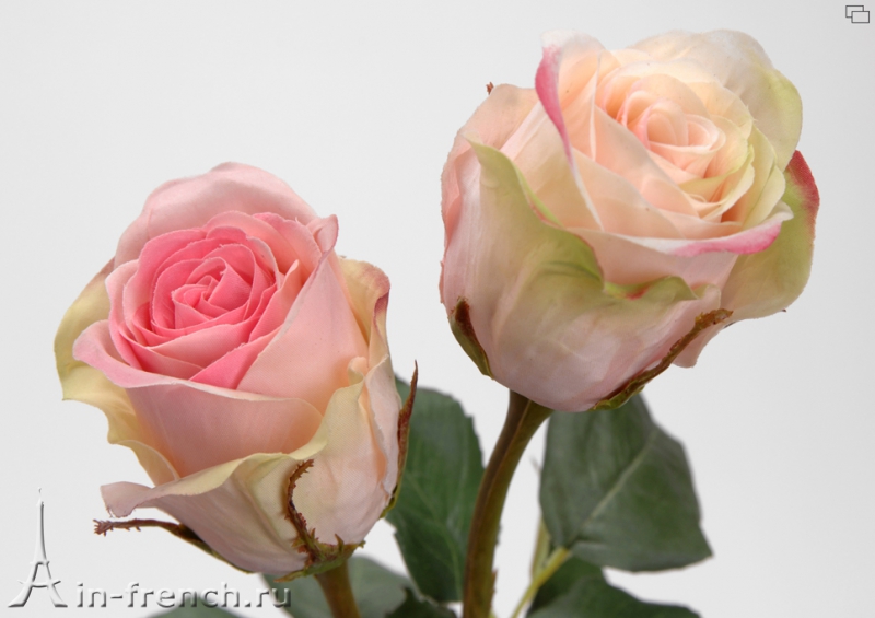 Цветы ручной работы Роза / 2 расцветки Versailles в стиле Прованс за 950 руб.