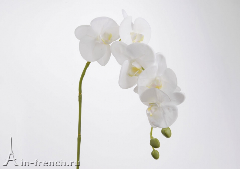 Цветы ручной работы Орхидея Legende в стиле Прованс за 950 руб.