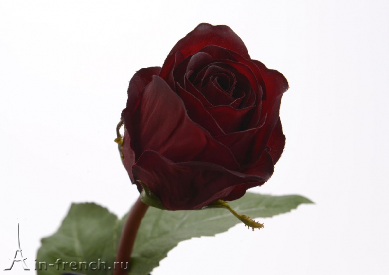 Цветы ручной работы Роза Celestine в стиле Прованс за 750 руб.