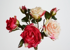 Роза / 2 расцветки