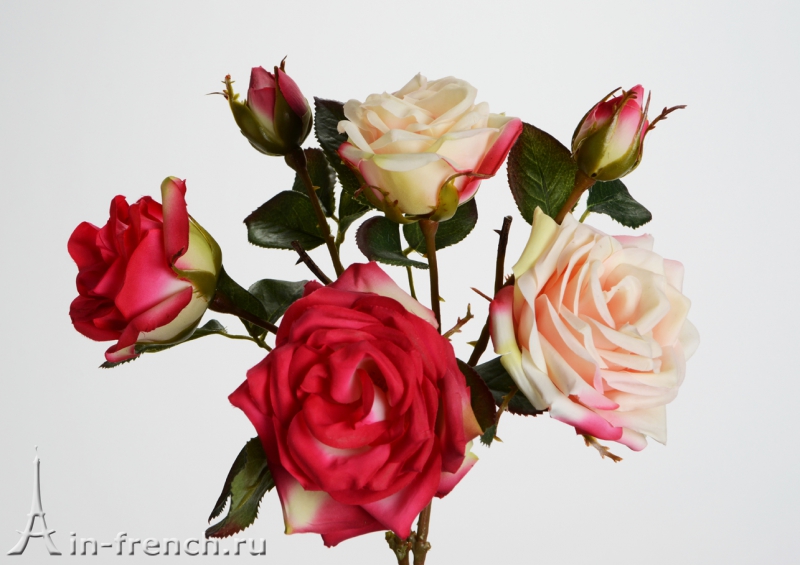 Дисконт-центр Роза / 2 расцветки Legende в стиле Прованс за 725 руб.