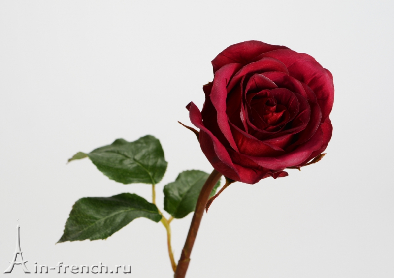 Цветы ручной работы Роза Celestine в стиле Прованс за 950 руб.
