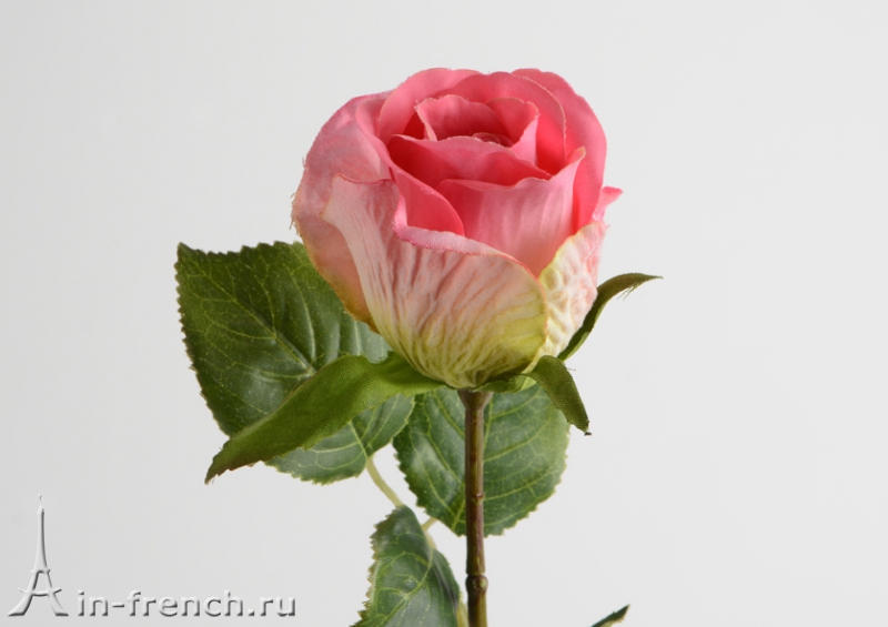 Цветы ручной работы Роза Legende в стиле Прованс за 500 руб.