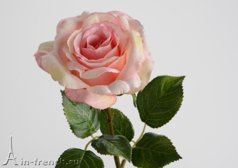 Цветы ручной работы Роза Appoline ca в стиле Прованс за 700 руб.