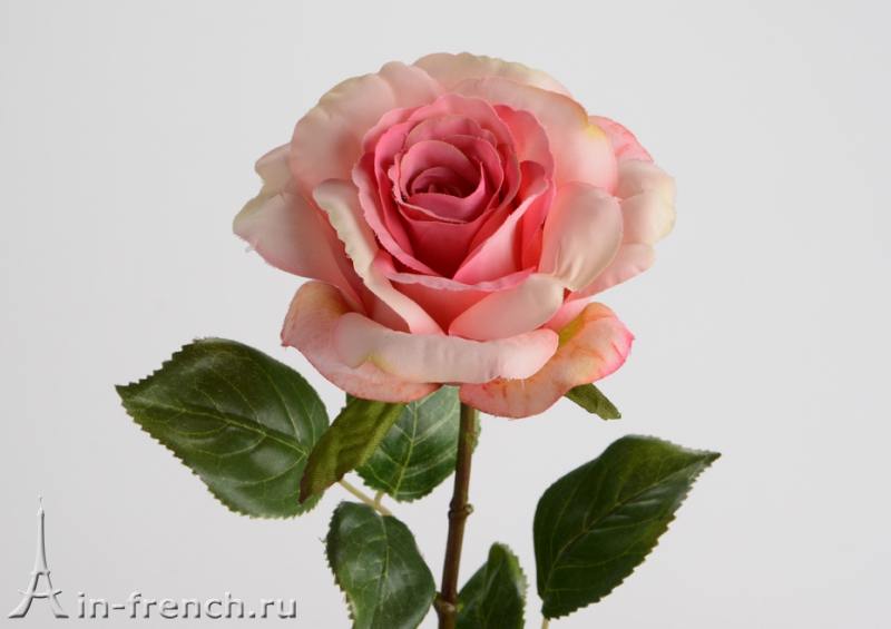 Цветы ручной работы Роза Merveille в стиле Прованс за 700 руб.