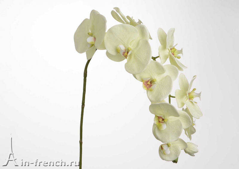 Цветы ручной работы Орхидея Versailles в стиле Прованс за 2 205 руб.