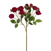 Роза кустовая, асс из 3-х: сиреневый, красный, белый