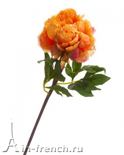 Цветы ручной работы Искусственный цветок Пион оранжевый  в стиле Прованс за 630 руб.
