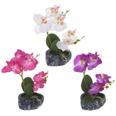 Цветочная композиция "Орхидея"