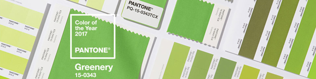 Pantone выбрали главный цвет 2017 года 